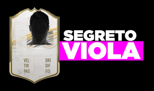 Segreto Viola